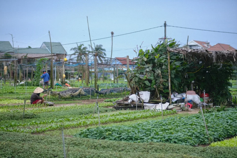 Quầy tiếp khách
